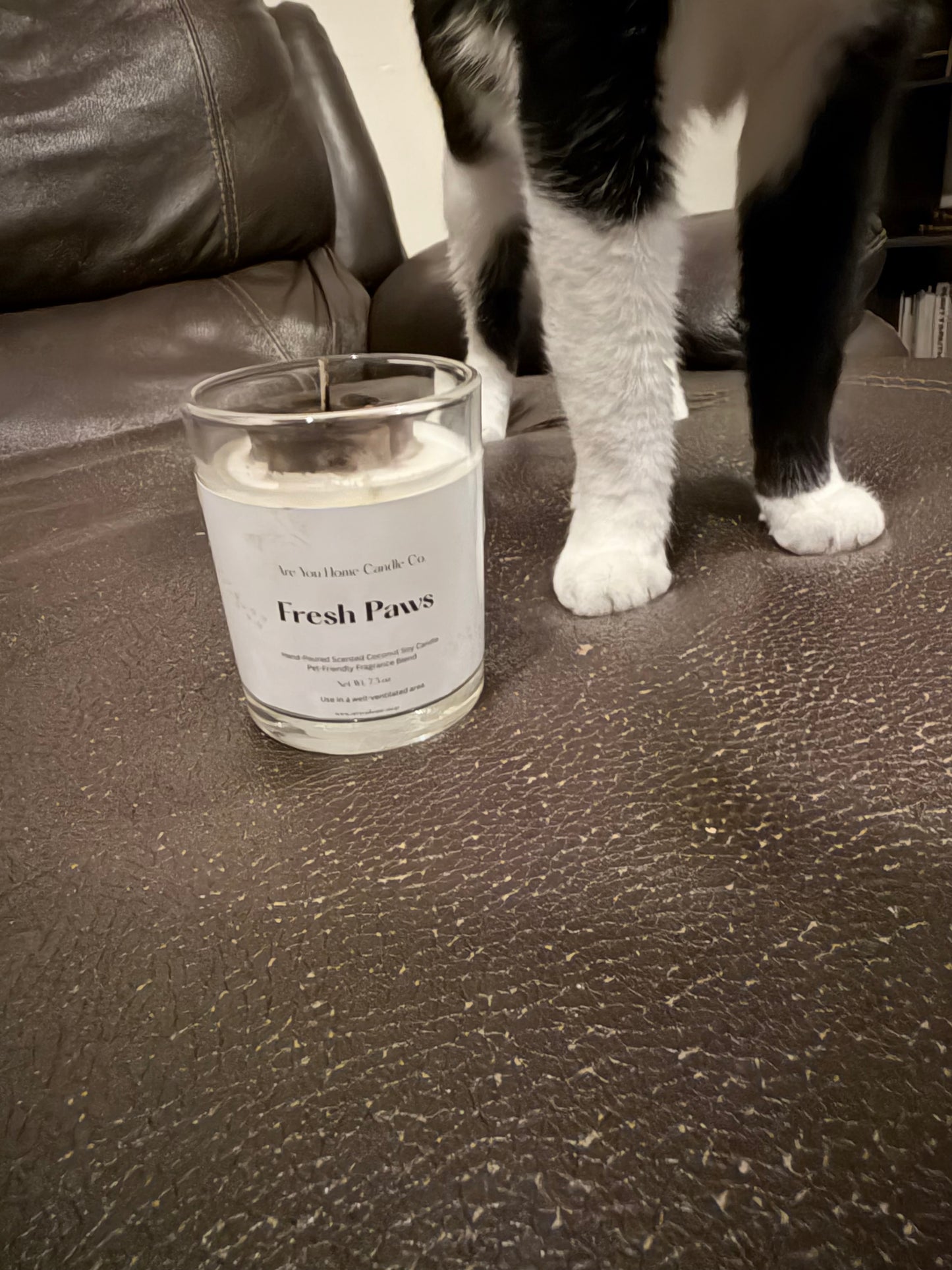 7.5oz Fresh Paws  Scented Candle 🐾 (Pet Collection)