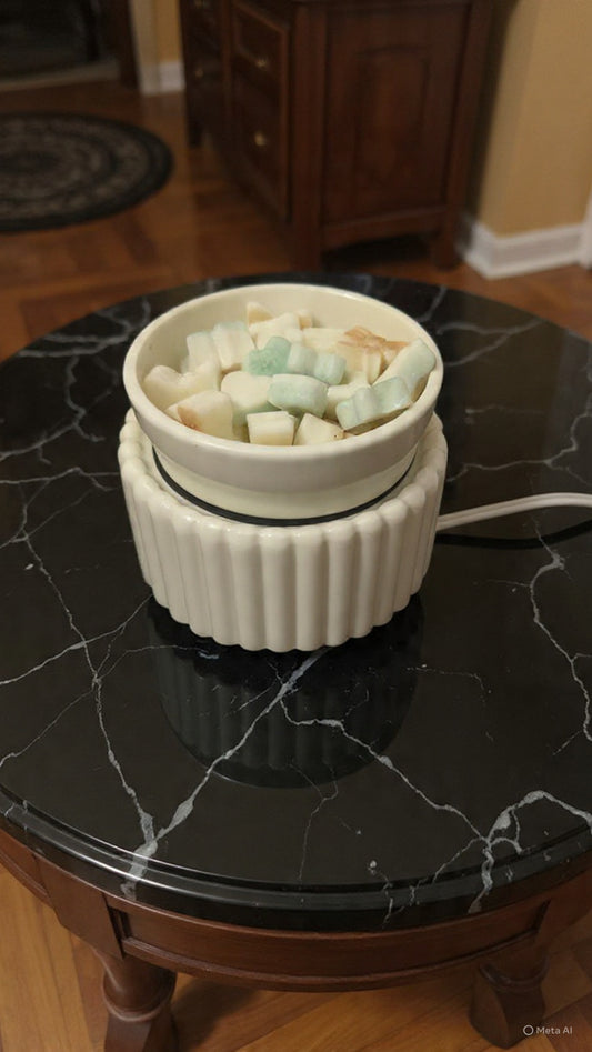 Wax Melts – Assorted Scents 2oz variety packs