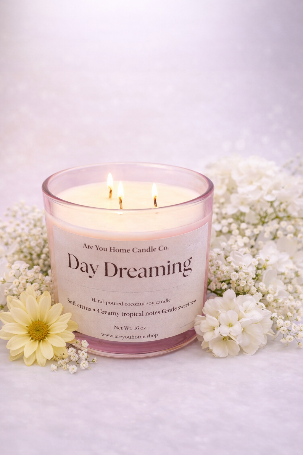 ☁️ Day Dreaming